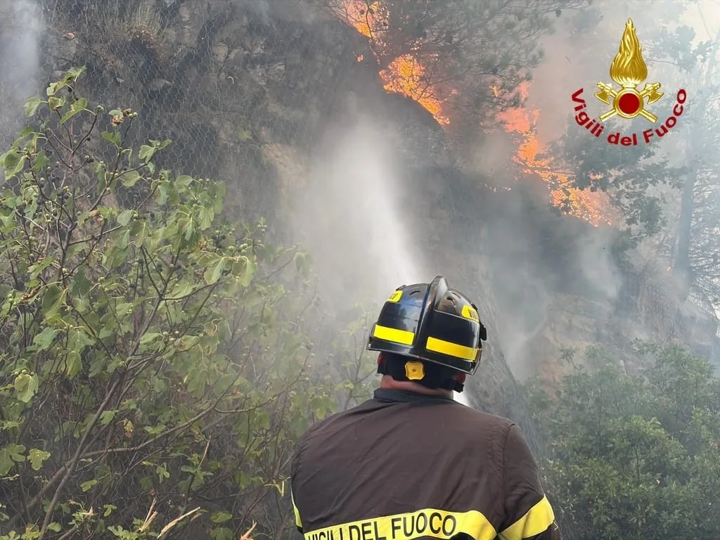 Incendio ancora attivo tra Monfalcone e San Giovanni di Duino: paura per il fronte spinto dal vento (VIDEO)