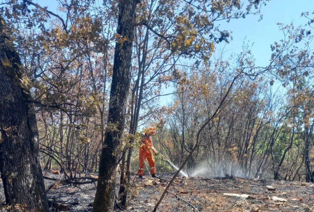 Protezione Civile: situazione incendi FVG oggi