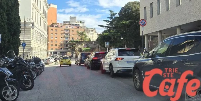 Parcheggi a Trieste, triestino di domanda: «E se il problema fossero anche i troppi passi carrabili?»