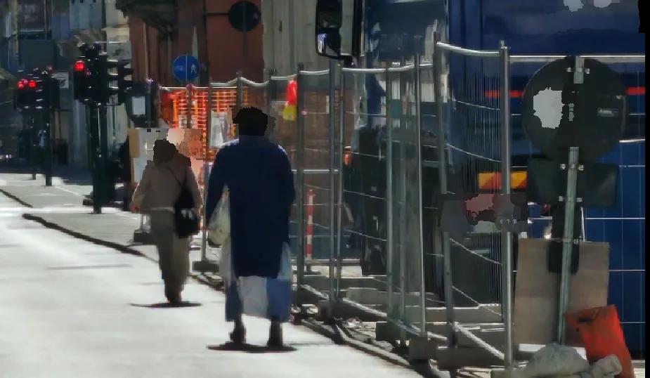 Trieste, donna denuncia un tentato furto in via Trento: «Mi ha anche insultata, turista in mio aiuto»