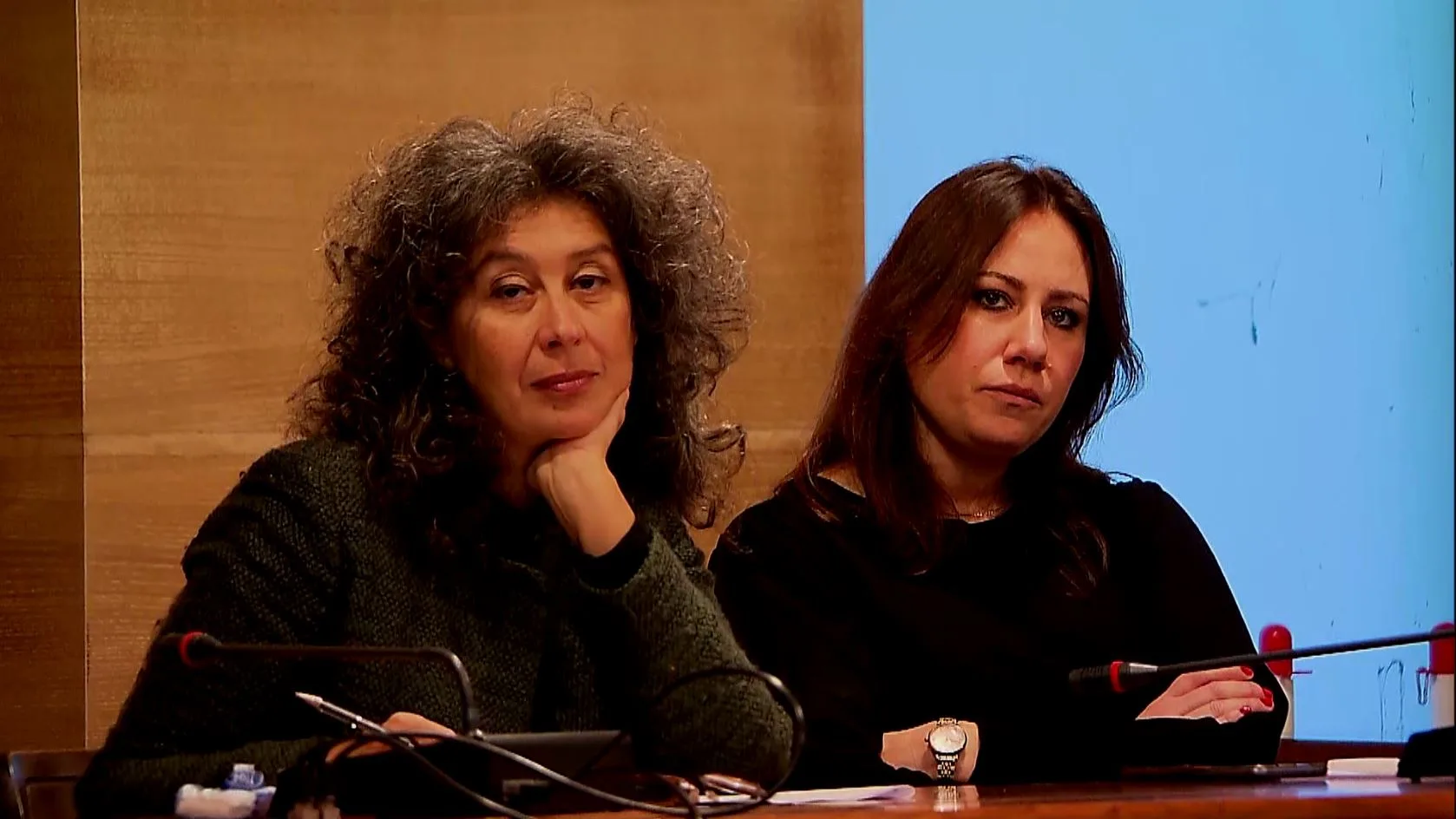 Pellegrino (Avs) e Celotti (Pd): "Il linguaggio non è uno slogan, dalla Giunta segnale retrogrado"