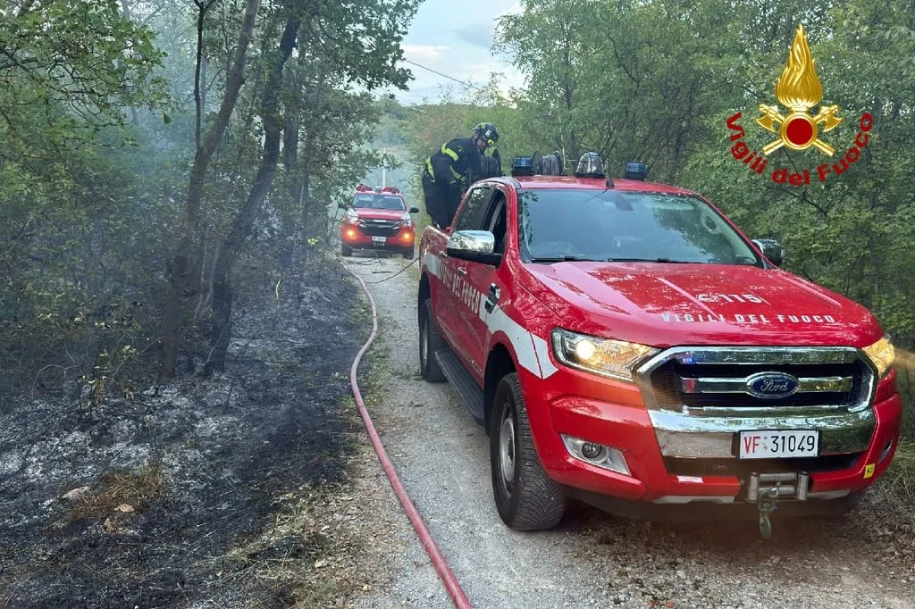 Monrupino, incendio tra Zolla e Fernetti: bruciati circa 4.000 metri quadrati di vegetazione