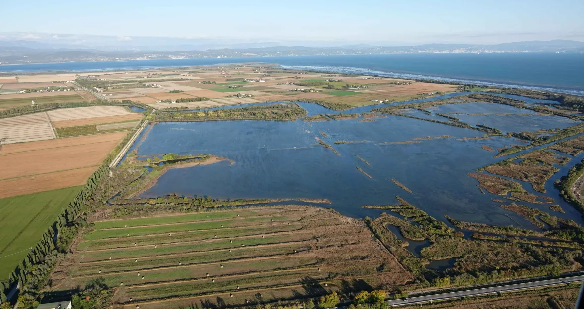 Progetto BRAVE: Comune, Regione FVG e Università insieme per il futuro delle valli da pesca della Laguna di Grado