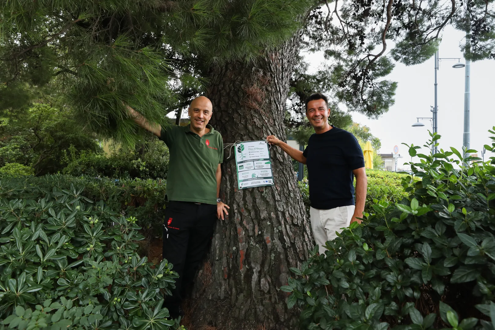 Trieste racconta i suoi alberi: cinque esemplari protagonisti della campagna europea #EUTreeTag