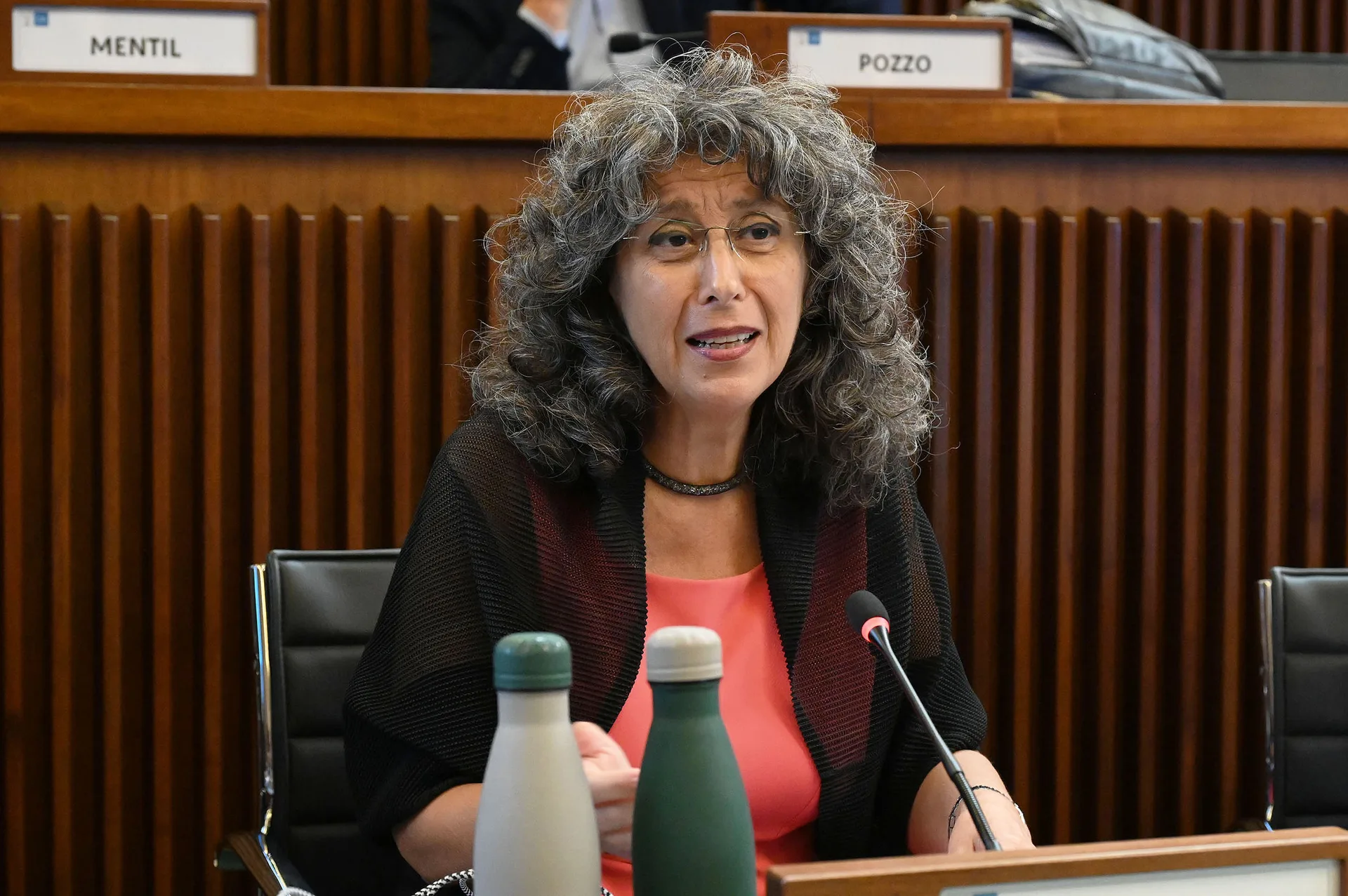 Festival. Pellegrino (Avs): "No borders è dannoso per ecosistema Fusine"