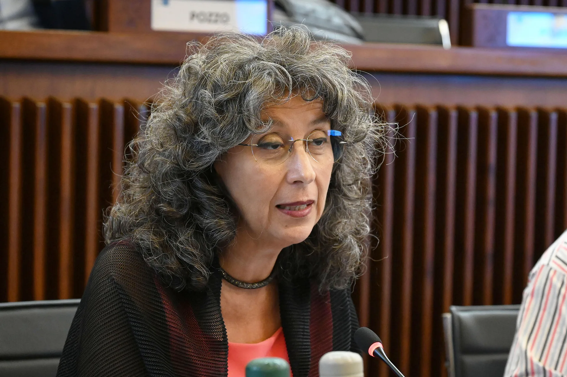 Terremoti, Pellegrino (Avs): "Prevenzione sia priorità politica reale"
