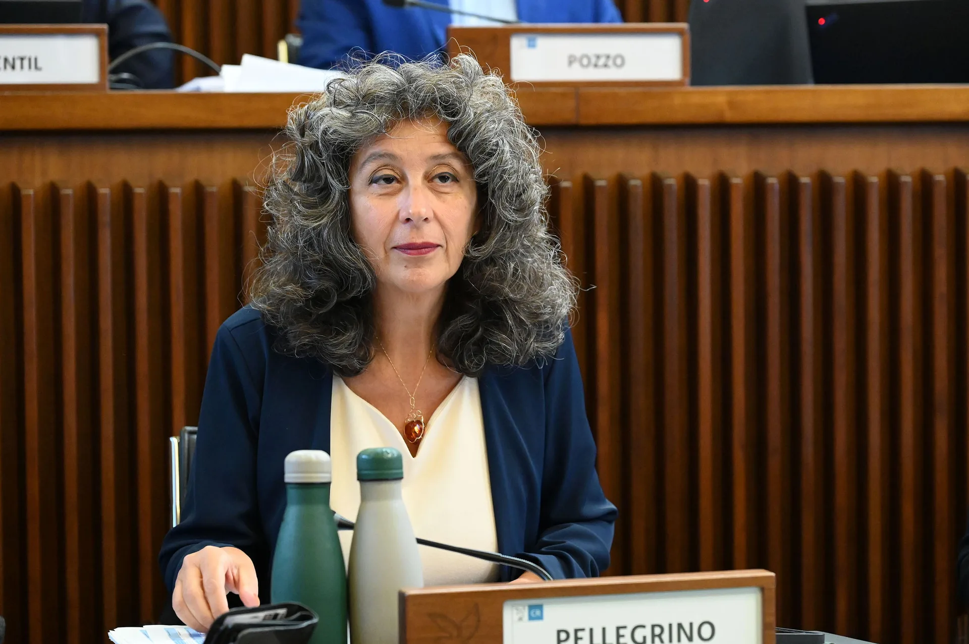 Pellegrino (AVS): «Sui dublinanti un clamoroso boomerang per il Governo»
