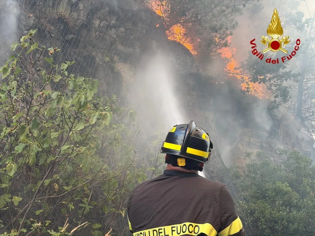 Vasto incendio tra Gorizia e Trieste: fiamme sulla SS 14 e a Selz, in azione anche l'elicottero Drago