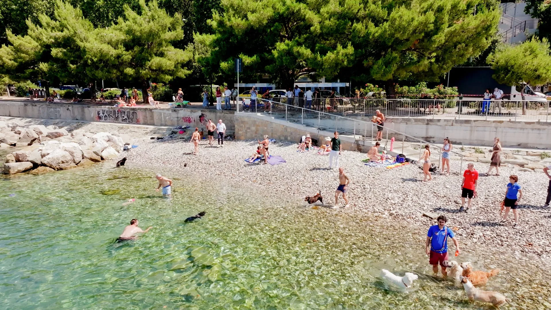 Bau Beach pronta e in sicurezza, Lodi: “Uno spazio dedicato ai cani e ai loro proprietari” (VIDEO)