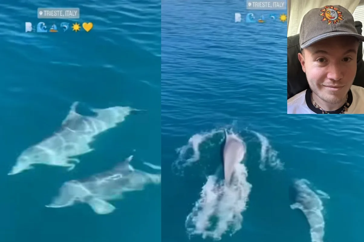 Trieste nel cuore di Alfa: i delfini del Golfo conquistano il cantante e fanno sognare i fan