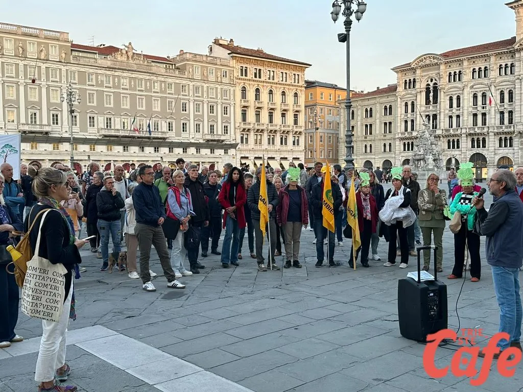 Trieste, un centinaio in piazza per i pini di Grignano: «Tagliate le emissioni, non gli alberi»