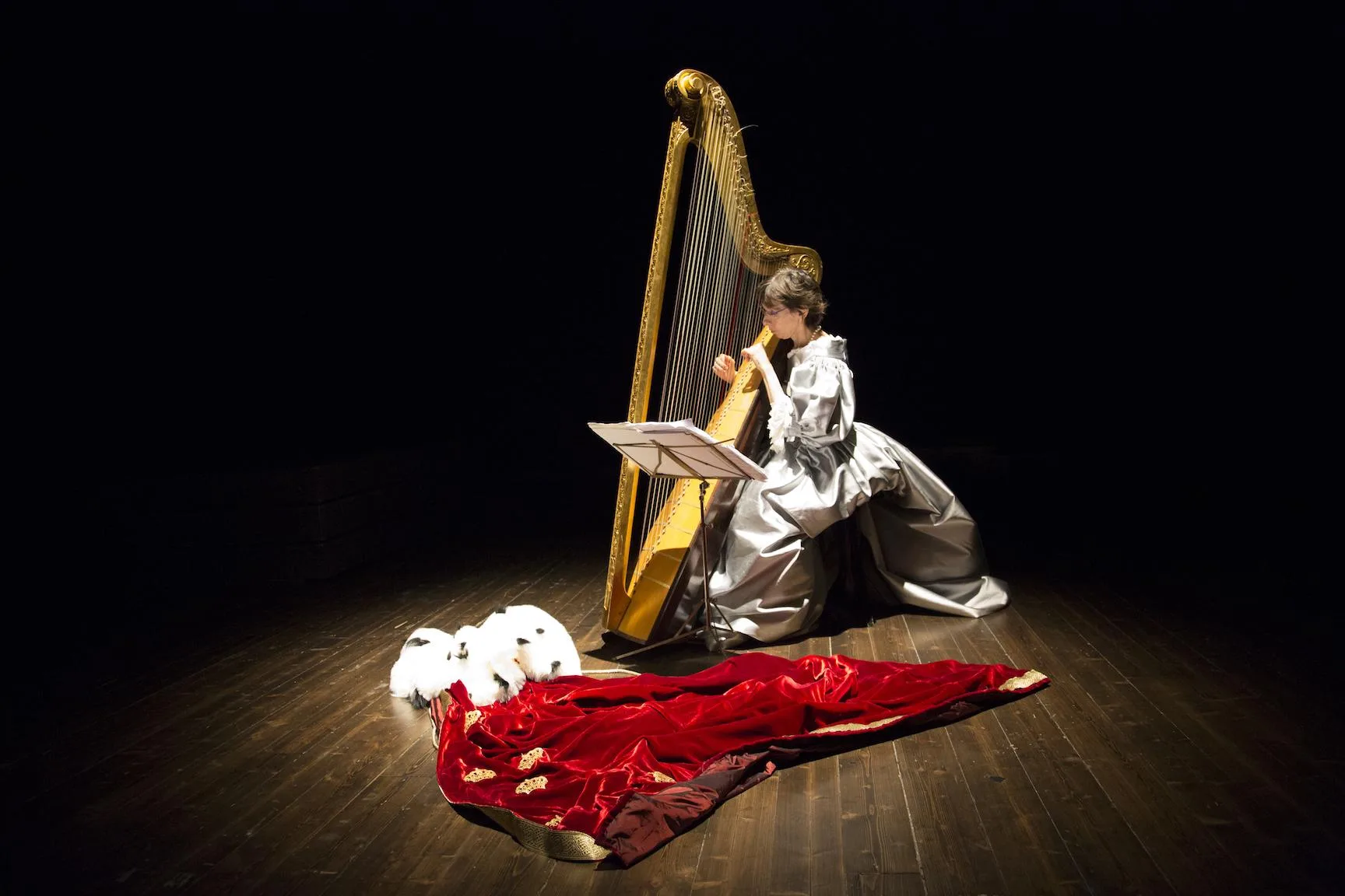 Trieste, vent’anni di Wunderkammer: dal 4 ottobre la città diventa capitale della Musica Antica