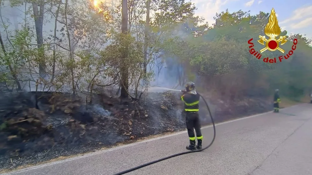 Incendio di sterpaglie a Savogna d'Isonzo: fiamme domate in pochi minuti dai Vigili del Fuoco