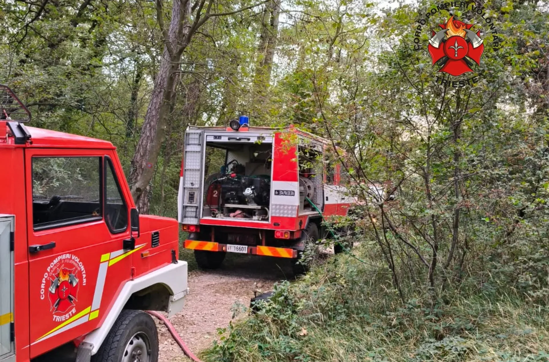 Trieste, fiamme nel bosco tra Montegrisa e l’Obelisco: intervento d’urgenza dei soccorritori