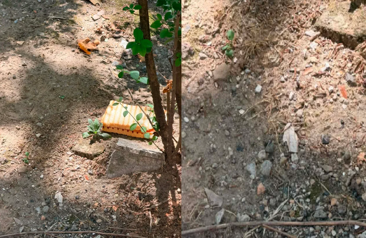 San Giovanni, la denuncia di una residente: «Cibo buttato ovunque e siringhe, qualcuno intervenga»