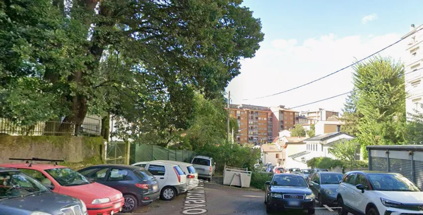 Trieste, oltre cento firme per salvare il boschetto di via Verga: «Il Comune rinunci alla vendita»