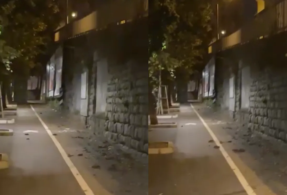 Trieste, «viale D’Annunzio infestata dai topi»: la segnalazione arriva da un cittadino (VIDEO)