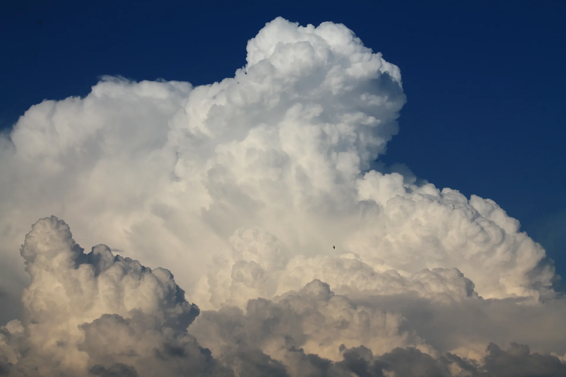 Il meteo di venerdì 14 agosto, cielo sereno sole e venticello gradevole