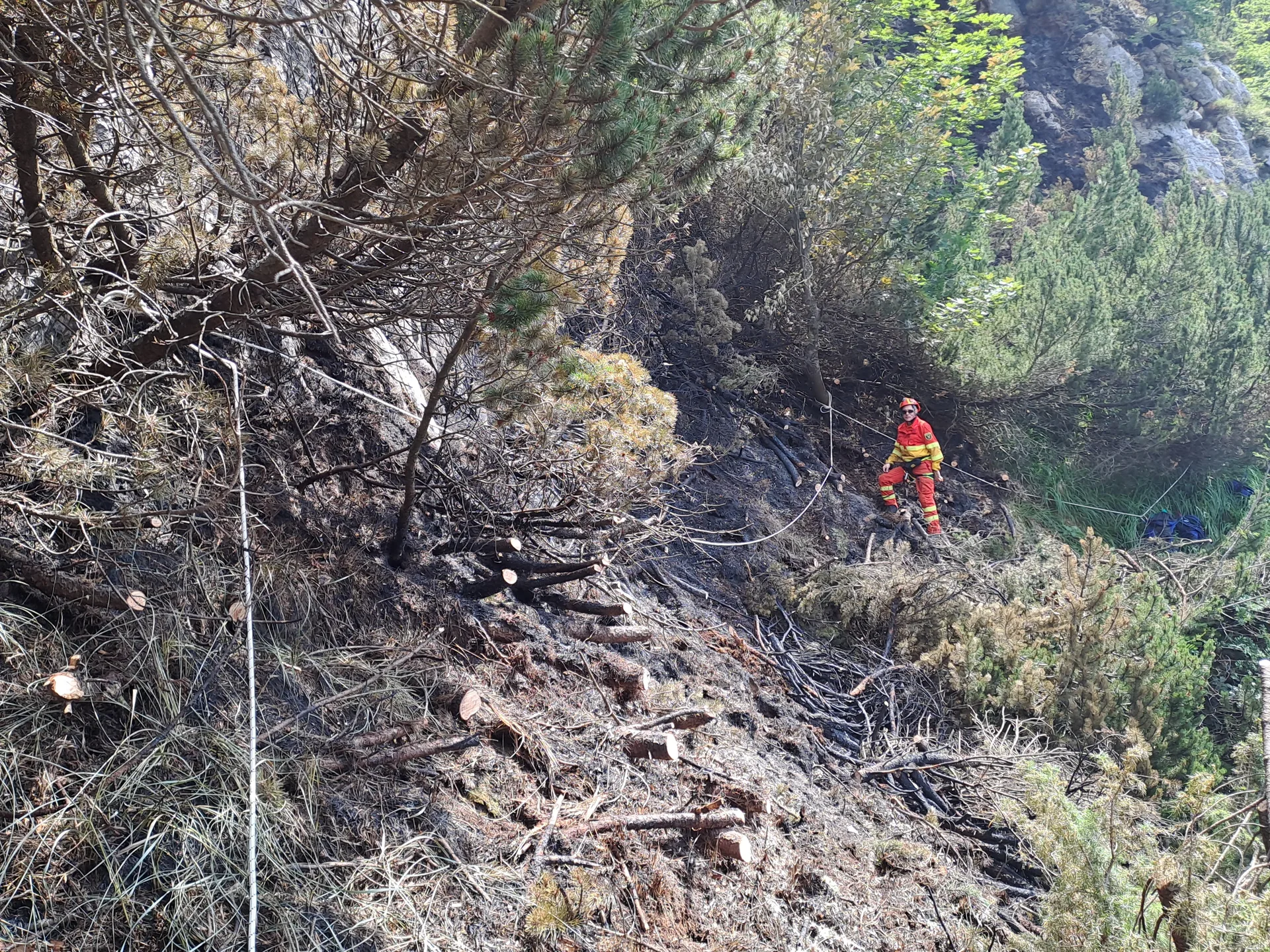 Roghi in Friuli Venezia Giulia, scatta lo stato di massima pericolosità per gli incendi boschivi