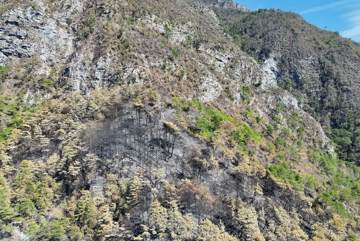 Regione autonoma Fvg, decretata la fine dello stato di massima pericolosità per gli incendi boschivi