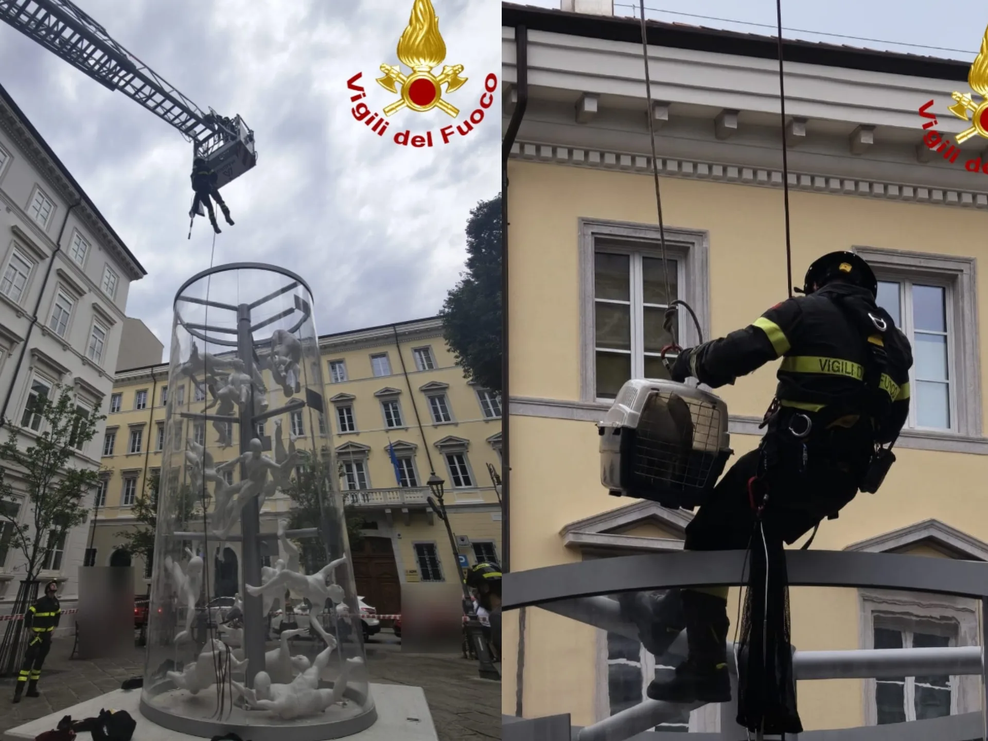 Trieste, gabbiano resta incastrato in un'installazione artistica: salvato dai Vigili del Fuoco