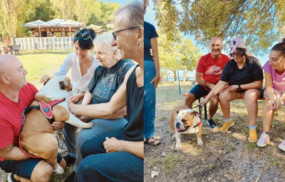 Muggia, bulldog inglesi protagonisti di una mattinata speciale con persone fragili e disabili
