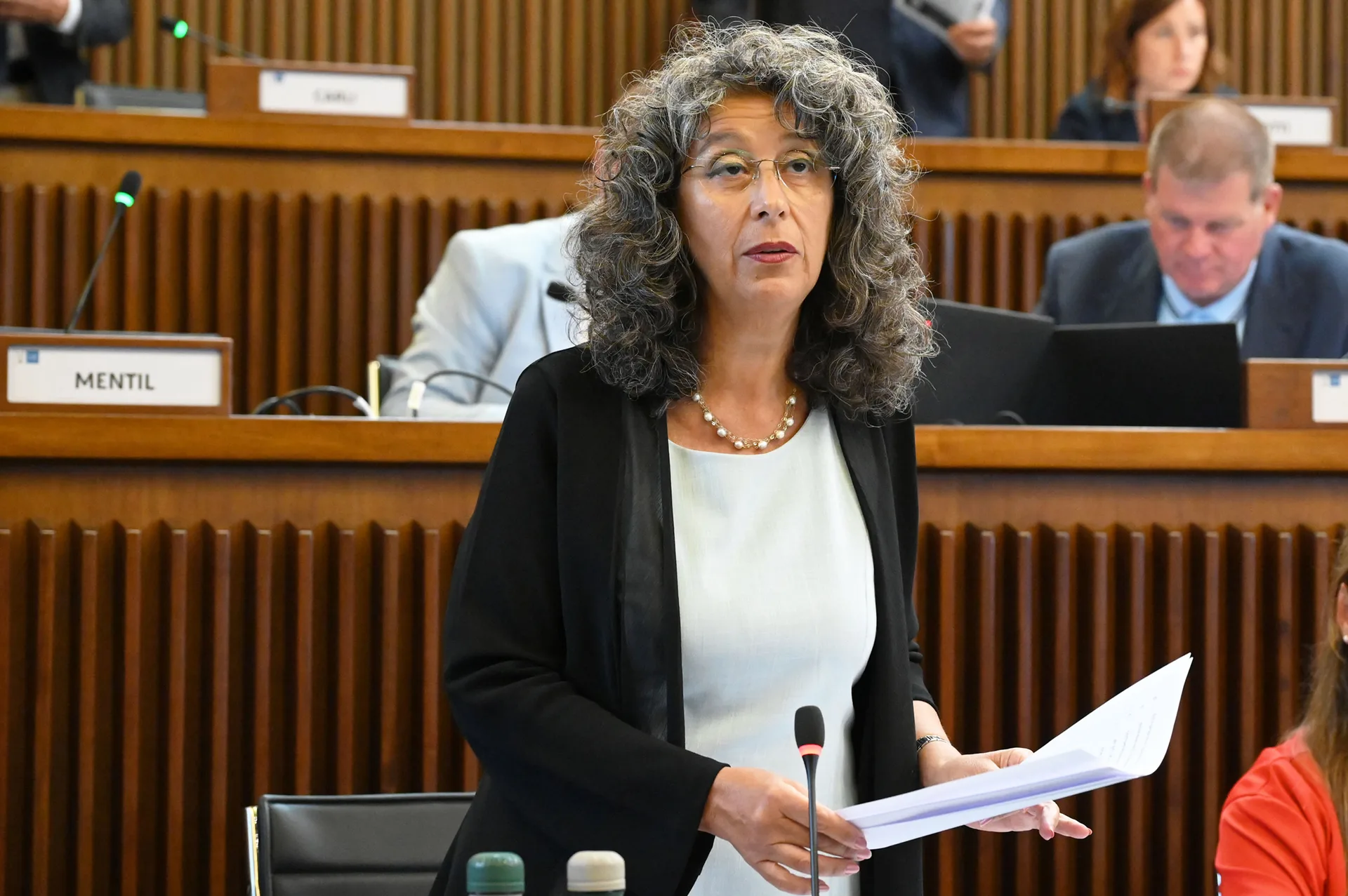 Province Fvg. Pellegrino (Avs): "Occasione per restituire voce ai territori"