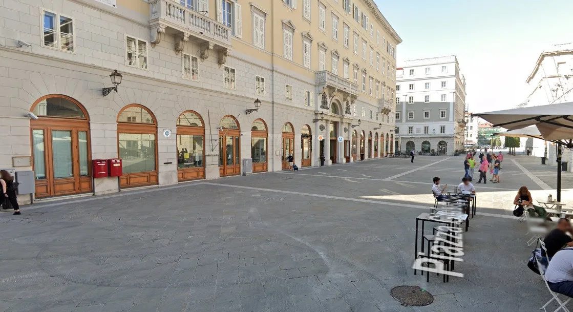 Trieste, gabbiano punta una bimba di 2 anni in piazza Verdi: “Siamo dovute scappare”