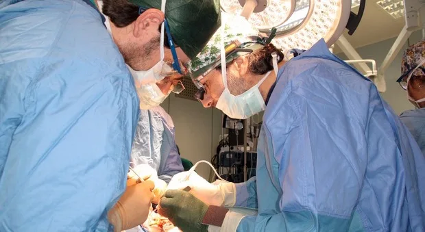 Trieste capitale della riabilitazione uditiva: i massimi esperti nazionali al forum della Clinica ORL
