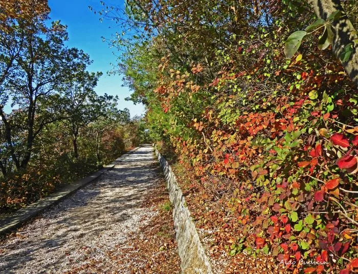 Incendio anche sulla Napoleonica, sterpaglie a  fuoco: sul posto i vigili del fuoco