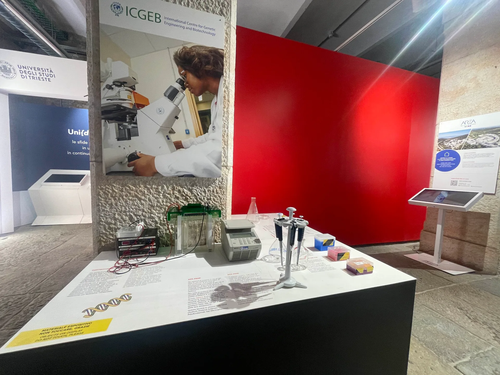 Ferragosto all'Immaginario Scientifico: aperture quotidiane e biotecnologie dell'ICGEB