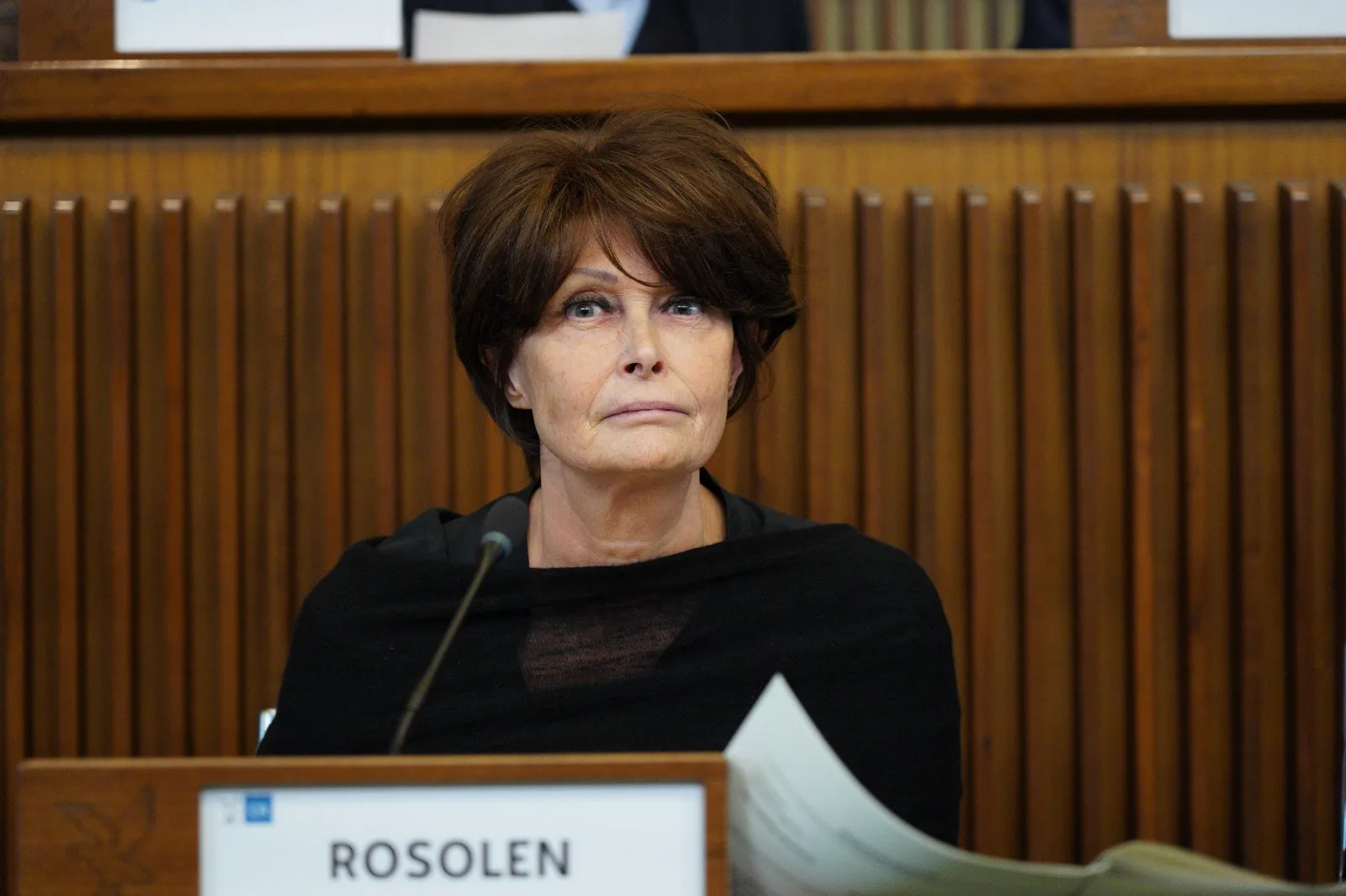 Università. Rosolen: "Polo centro Valle di Pordenone è progetto strategico"