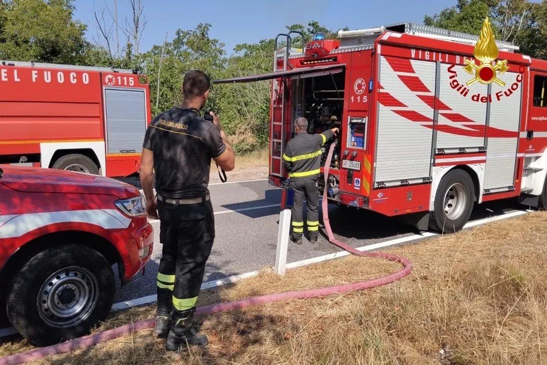Carso ancora in fiamme: nuovo incendio a Sgonico, in volo anche l'elicottero