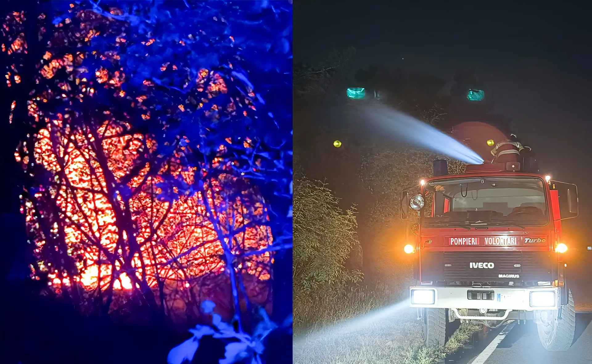 Incendi tra Monfalcone e Selz, emergenza nella notte: le fiamme ripartono e il vento ostacola i soccorsi