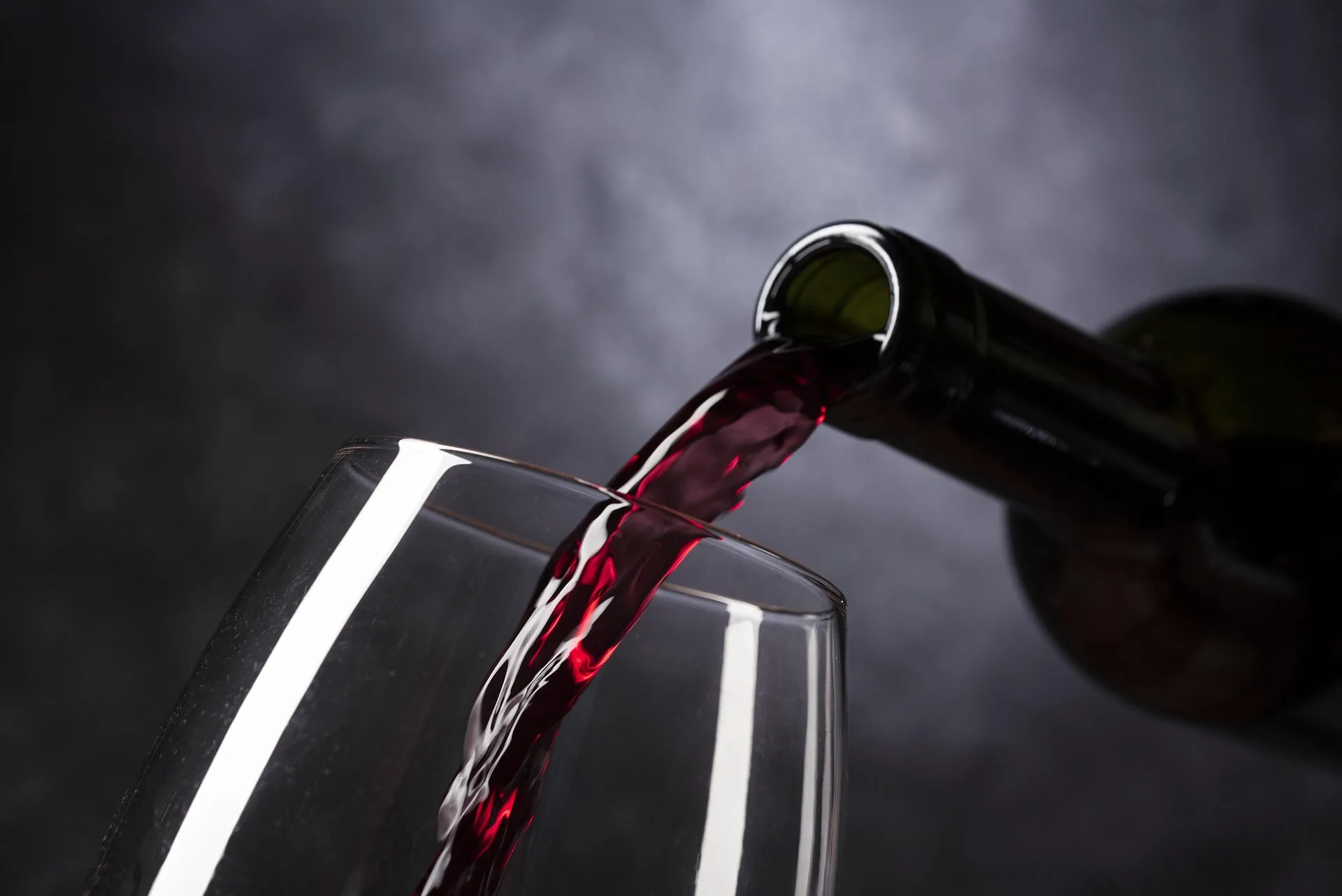 Vendemmia turistico-didattica: un’esperienza tra i filari dei grandi vini del Friuli Venezia Giulia