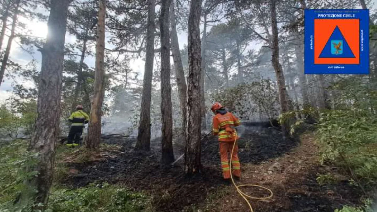 Incendio boschivo a Monte Grisa: in azione Vigili del Fuoco, Forestale, volontari AIB ed elicottero regionale