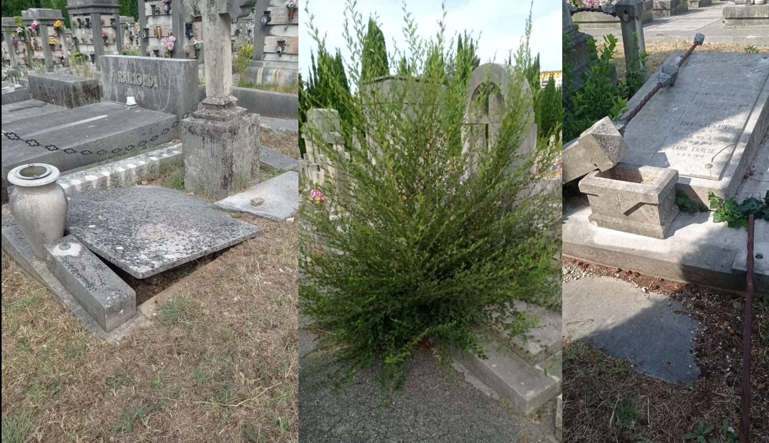 Trieste, degrado al cimitero di Sant'Anna: "Dov'è il rispetto per i defunti?"
