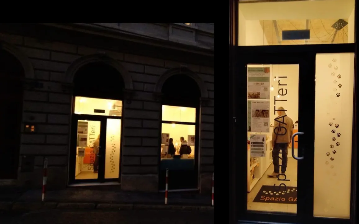 Trieste, gli amici dei felini hanno un nuovo punto d’incontro: inaugurato lo “Spazio GATTeri”