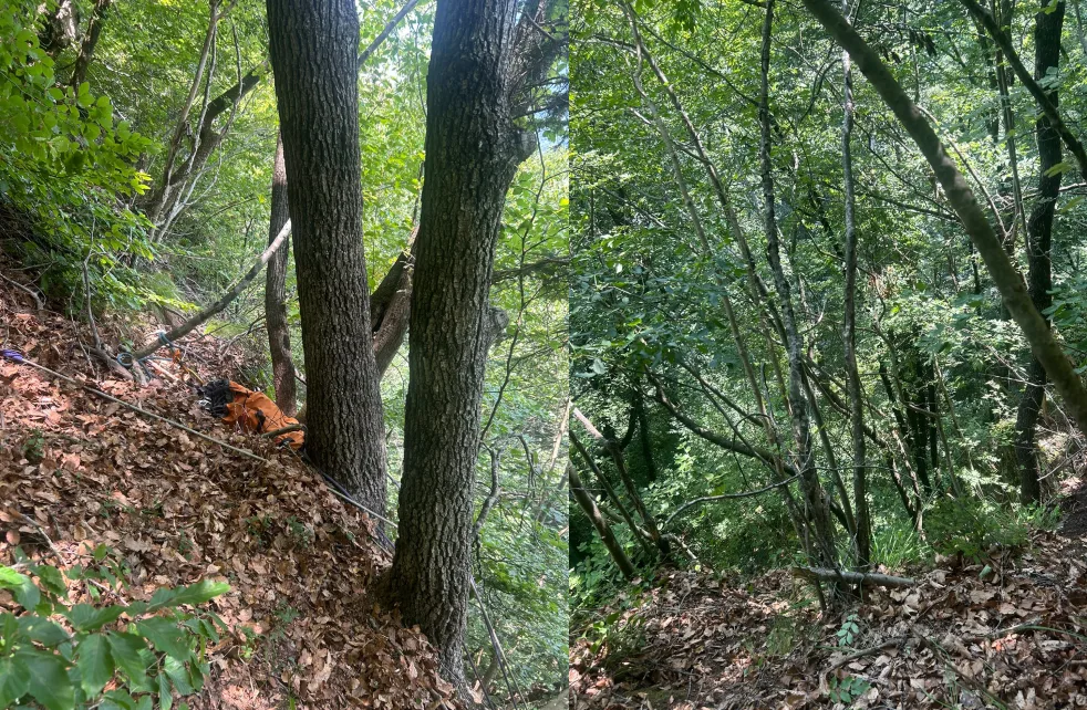 Raveo, scout di 9 anni precipita per 20 metri nel bosco: salvato dall'elisoccorso