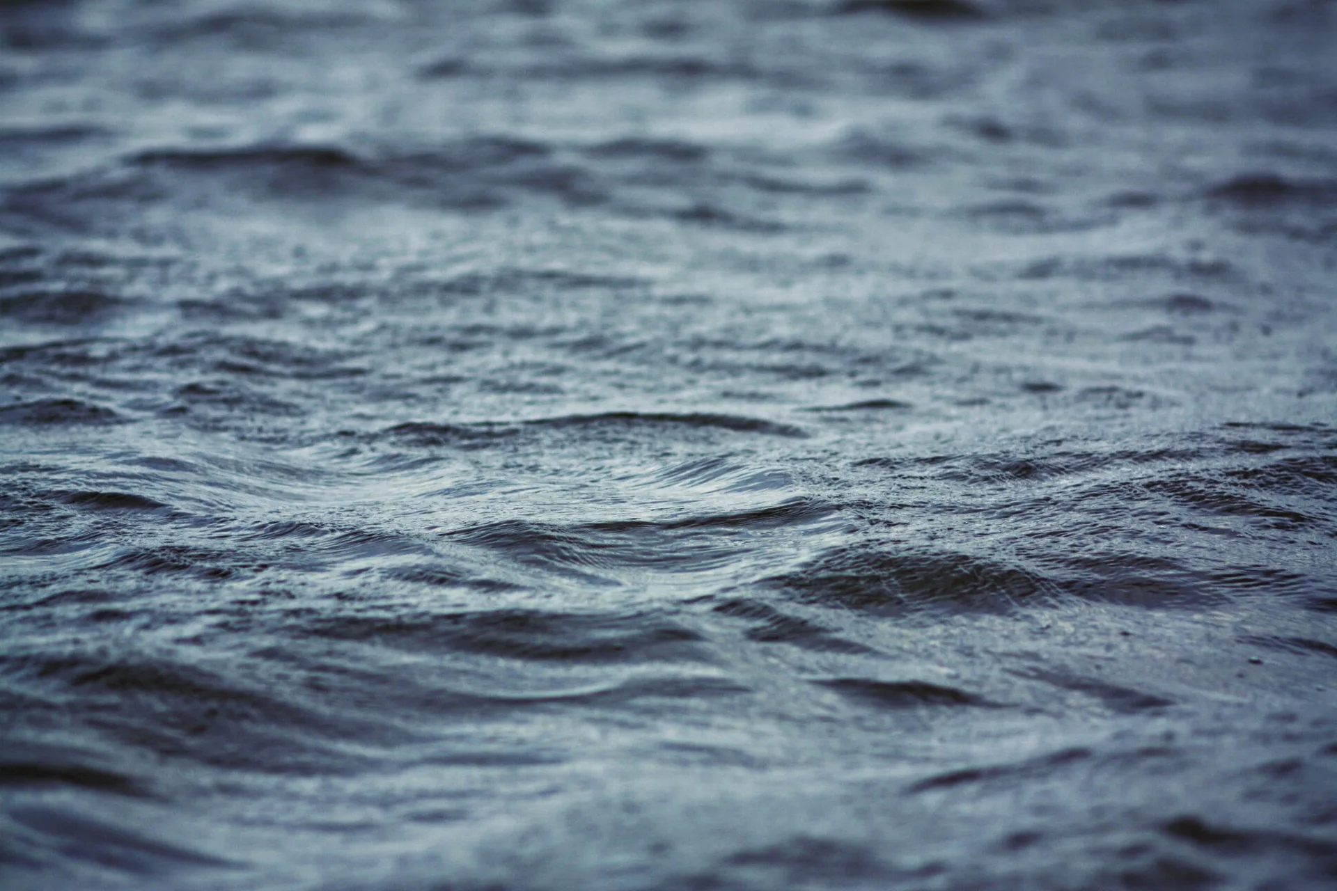 Trieste, sub di 27 anni muore durante un’immersione in Istria: corpo recuperato a 25 metri